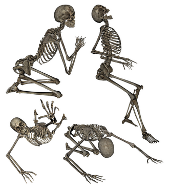 Image by Parker_West from Pixabay